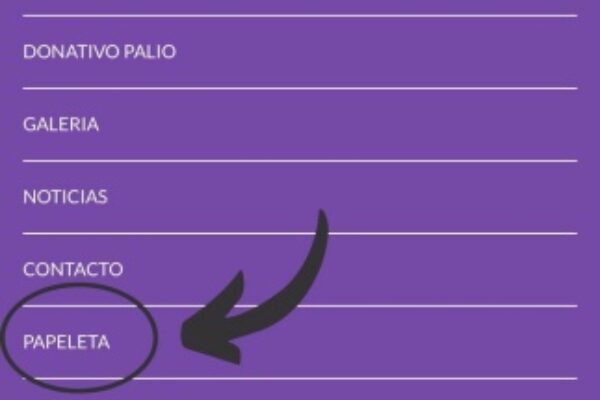 APERTURA PLAZO SOLICITUD PAPELETAS DE SITIO A TRAVÉS DE LA WEB